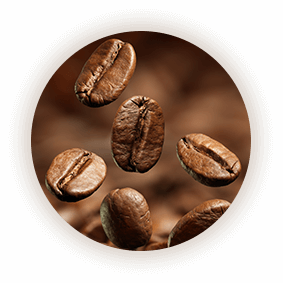 Best Coffee beans in Dubai - Sparrow International
