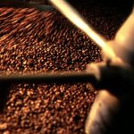 HAUSBRANDT - THE BEST COFFEE BLEND supplier in Dubai
