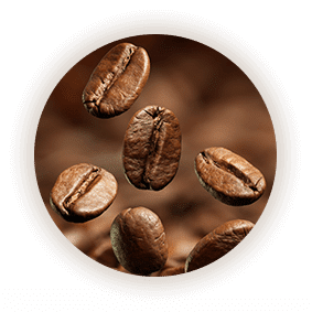 Coffee beans - coffee and tea solution dubai