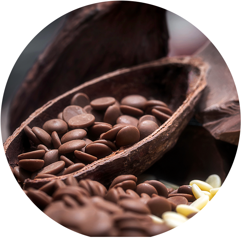 Professional Chocolate